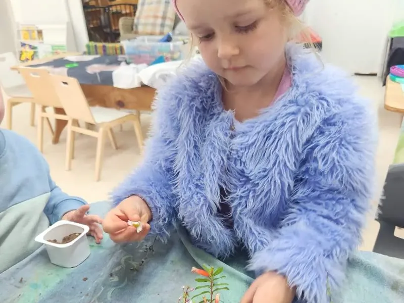 Environmental Education